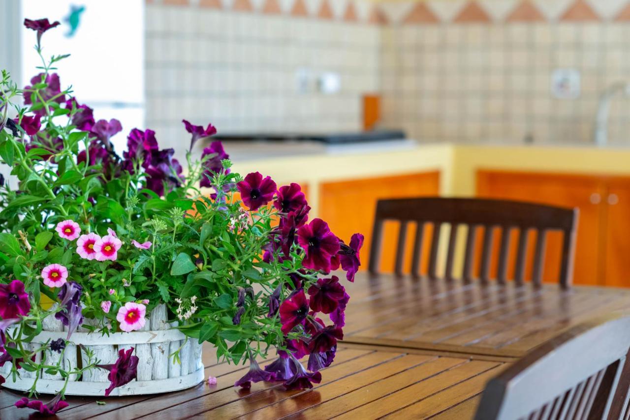 B&B Martina Agropoli Exteriör bild